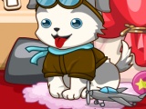 flash игра Happy Cute Puppy