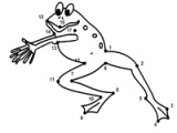 Draw a frog