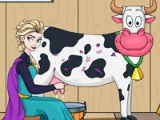 Elsa milking cow