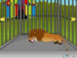 Lion cage escape