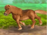 flash игра My Dear Pony