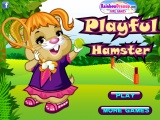 flash игра Playful Hamster