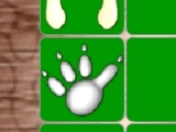 Animal Footprint Pairs