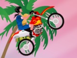 flash игра Stunt Bike Girl