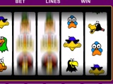 flash игра Birds Of A Feather Slots