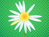 flash игра Daisy petals