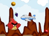 Hungry angry birds