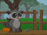 Raccoon's adventure