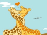 Lovers giraffes