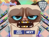 flash игра Grumpy cat. Dental care