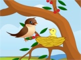 flash игра Bird feeding